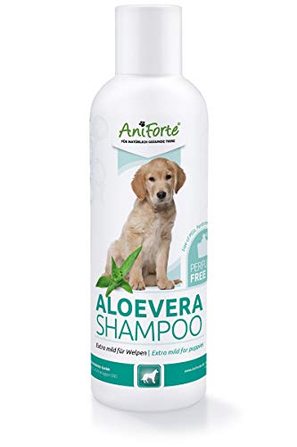 AniForte Aloe Vera Welpenshampoo für Hunde 200ml - Hundeshampoo mild & parfümfrei, Welpen Shampoo für Junghunde & empfindliche Hunde, für glänzendes & leicht kämmbares Fell