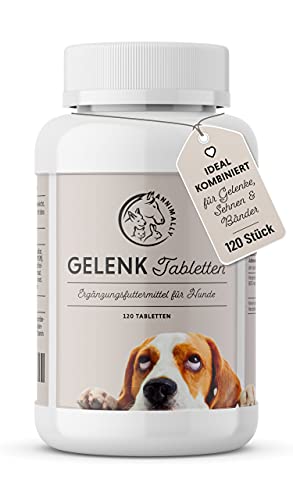 Annimally Gelenktabletten für Hunde mit Grünlippmuschel, MSM, Teufelskralle, Glucosamin & Hyaluron - 120 Gelenke Tabletten für Hunde - Hohe Akzeptanz beim Hund durch kleine Tabletten
