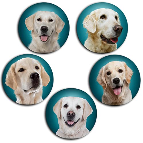 Merchandise for Fans Golden Retriever Hund - Porträt 5 runde Kühlschrankmagnete für Memoboard Pinnwand Magnettafel Whiteboard [ 02 ]