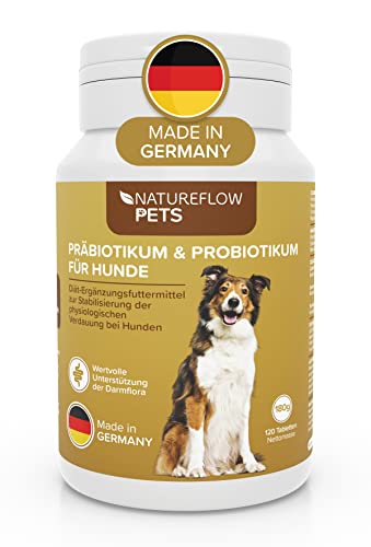 Probiotika Hund ideal mit Präbiotika - Qualität Made in Germany - Darmsanierung Hund durch Probiotika für Hunde - Beim Hund Darmflora aufbauen mit Natureflow Pets - 120 Tabletten