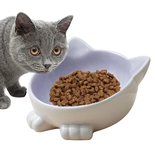 Niedliche Katzennäpfe - Erhöhte Katzenfutternäpfe gegen Erbrechen, süßer geneigter erhöhter Katzennapf | Katzen-Wassernapf, Katzen-Futternapf zum Stressabbau bei Ermüdung der Schnurrhaare, Jextou
