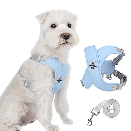 Hundegeschirr-Set – X-förmiges Design, atmungsaktives Netzgewebe, leicht, reflektierend, geeignet für kleine und mittelgroße Hunde (S: 4-7 kg)