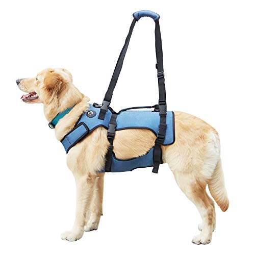 Coodeo Hunde-Hebegeschirr, Stütz- und Erholungsschlinge, Haustier-Rehabilitations-Hebeweste, verstellbare, atmungsaktive Gurte für alte, behinderte (XL)