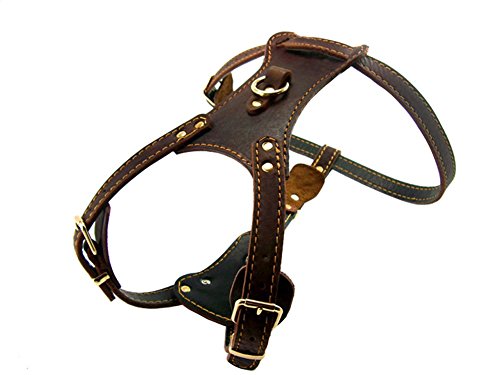 OCSOSO Hundegeschirr, strapazierfähig, feinstes braunes Echtleder, Sicherheitsgeschirr, Ledergeschirr, Messingbeschichtung, für mittelgroße oder große Hunde, 85,1-88,9 cm, Brust mit Hundeleine