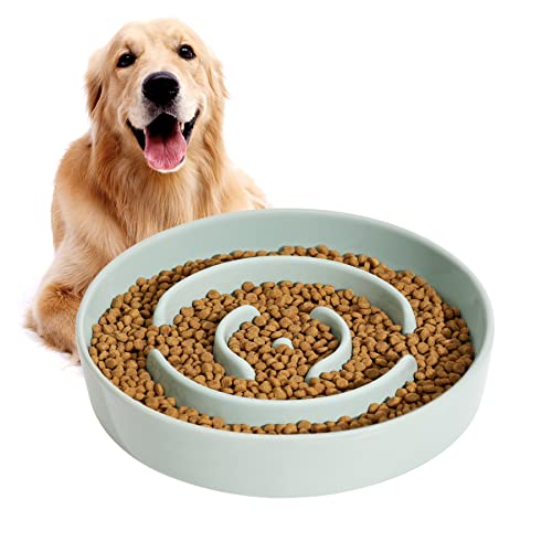 Havniva Keramik-Futternapf für Hunde, 1,5 Tassen, langsamer Fressnapf für kleine, mittelgroße und große Rassen, Anti-Schlucken, Haustierlangsamer für Spaß (Light Green, 21cm Bowl)