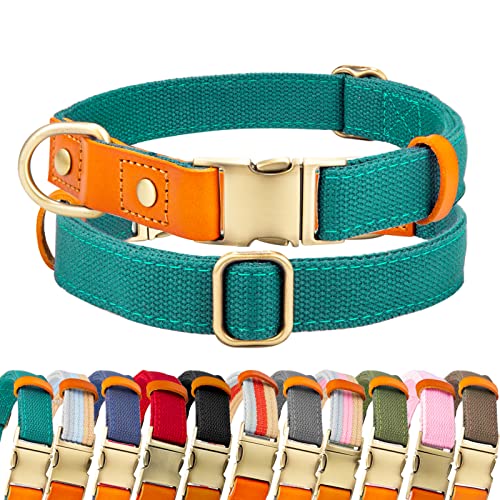 Hundehalsband, Weich Verstellbare Nylon Hunde Halsband Haustier Hundehalsbänder für Kleine Hunde