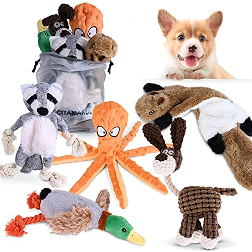 CITAMAMA Quietschendes Hundespielzeug, 5 Stück Hundeplüschspielzeug Kauspielzeug für Hunde Zahnreinigung Interaktives Trainingsspielzeug Welpenspielzeug für Welpen Kleine Hunde