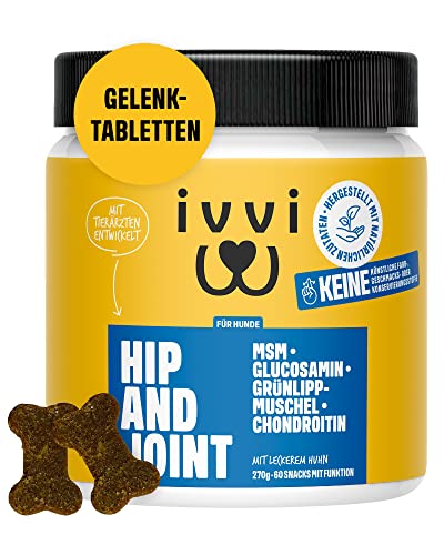 ivvi Hip & Joint - hochkonzentrierte Gelenktabletten für Hunde als Leckerli mit Grünlippmuschel Hund, Glucosamin, Chondroitin & MSM - 60 leckere Snacks (270g) mit Huhn