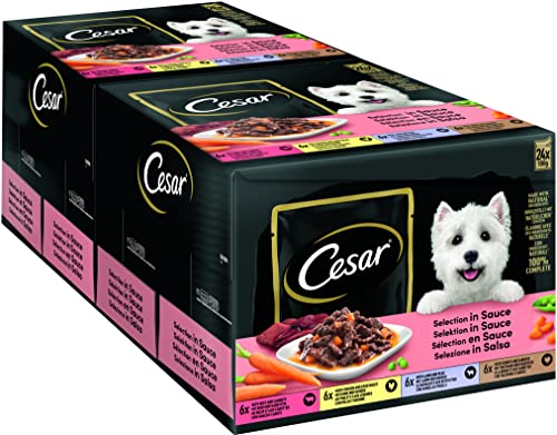Cesar Adult Hundenassfutter Selektion in Sauce, 48 Portionsbeutel, 24x100g (2er Pack) – Ausgewogenes Premium Hundefutter nass, Auswahl mit Rind, Huhn, Lamm und Truthahn