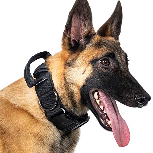 OneTigris Hunde Halsband mit Metallschnalle für Hunde (Schwarz, M)