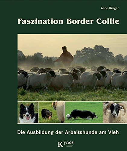 Faszination Border Collie: Die Ausbildung der Arbeitshunde am Vieh (Das besondere Hundebuch)