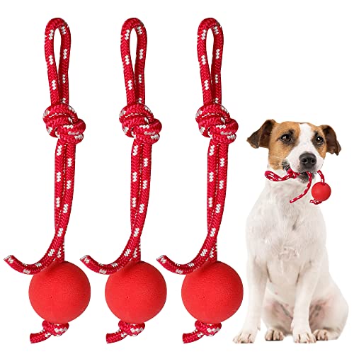 PANGTON VILLA 3 Stück Wurfball Hund mit Schnur Elastische Hundespielzeug Ball Wurfball für Hunde Welpenspielzeug Hundeball Schnüffelball für Hunde für Haustiere Hunde Ausbildung Spielen Übung,Rot